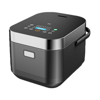 Cuiseur électrique multifonctionnel OEM et ODM Nouveau cuiseur à riz automatique avec tasse à mesurer Appareil ménager rapide pour la cuisine