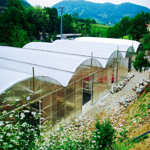 Large Scale Cost Effective PO <b>Plastic</b> <b>Sheet</b> Covering Agriculture Commercial Tunnel Multi Span Film Greenhouse - Product Image 1
