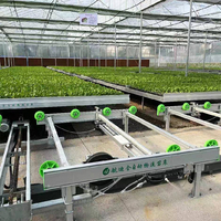 Serre agricole multi-travées HANGDI avec couverture en film, système logistique automatique, pour semis, vente directe usine