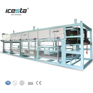 Customized ICESTA 20t 25t 30t 40t Industrial Ice Block Making Machine