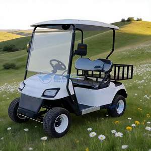 Voiturette de golf électrique la plus vendue, alimentation directe usine, batterie au plomb haute puissance, structure en acier, capacité 2 personnes, meilleur prix - Product Image 2