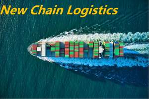 Global TOP 100 NVOCC Nueva cadena logística en Shenzhen Freight Forwarder FCL Agente de envío Entrega puerta a puerta - Product Image 6