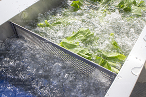 TS-200 ozone khử trùng rau máy giặt trái cây và rau rửa máy làm sạch - Product Image 4