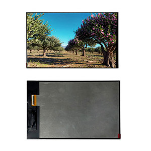 Display Industriale da 10.1 Pollici 1200x1920 Alta Risoluzione 600 Nits Personalizzabile Touch G+G/G+P Interfaccia MIPI -10~60 ℃   Ampia Gamma di Temperature - Product Image 3