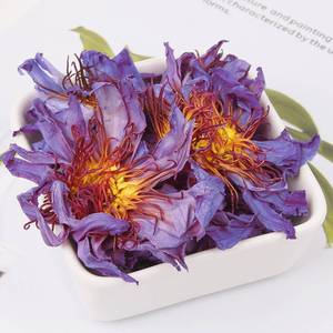 Fiori di Loto Blu Essiccati Naturali all'Ingrosso, Boccioli di Loto Blu Essiccati Interi per Tisane - Product Image 5