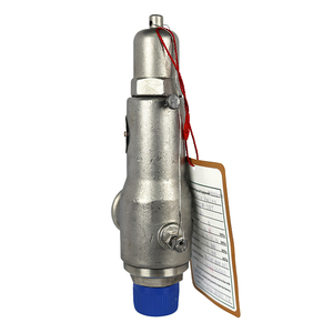 Soupape de sécurité de décharge à haute pression pour la connexion de filetage de levage complet de ressort de vapeur de chaudière pour des applications de vapeur de chaudière - Product Image 5