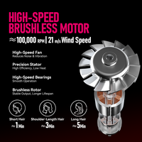Sèche-cheveux professionnel FirePhoenix M2 OEM 2000-2200W, moteur sans balais, ionique anti-frisottis, léger 430g, double tension 127V-240V
