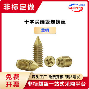 Tornillos de Cabeza Phillips de Latón Snippin, M2, M2.5, M3, Punta Cónica, Métricos, Grado A - Product Image 2