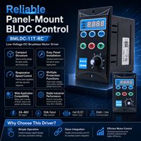 Contrôleur de moteur BLDC basse tension Palo 11T-DC24V-48V 240W-480W Protection IP54