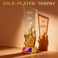 Trophée en cristal personnalisé avec flamme (Trophy-034) – Impression couleur pour champions de ventes, employés exceptionnels – Personnalisation créative annuelle
