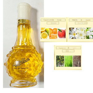 2025 populaire 90ml EDP Cologne longue durée écologique parfum floral boisé pour hommes dubaï arabie saoudite Émirats arabes unis pour hommes arabes - Product Image 4