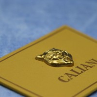 Écussons en cuir 3D personnalisés de haute qualité avec logo, écologiques, en cuir de vachette électroplaqué, toile PVC, à coudre, décorés de strass