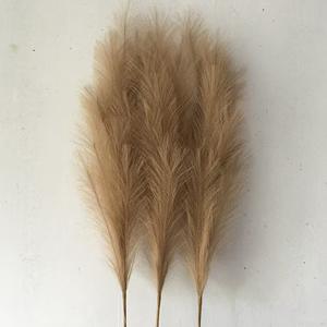 Plante naturelle soie pompon herbe fleur moelleuse grande herbe de pampa artificielle <span class=keywords><strong>pour</strong></span> mariage sol vase maison salon décor - Product Image 2