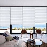 Stores plissés temporaires en tissu non tissé 90cm*180cm pour fenêtres intérieures, occultants, sans outils, découpables sur mesure, adhésifs, pour l'intimité