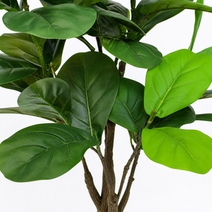 Bonsái Artificial de Ficus Lyrata Texturizado Premium para Decoración de Hoteles, Salones, Cafeterías, Estudios Fotográficos, Balcones, Patios y Hogares - Product Image 3