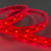 Bande lumineuse sous-marine pour piscine colorée DC12V/24V 5050 60LEDs 12mm 4 en 1 RGBW Epistar LED pour aménagement paysager