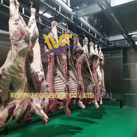 Ketel Mini peralatan Abattoir untuk dijual mesin pemotongan rumah hewan Halal garis penyembur sapi
