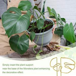 Estante <span class=keywords><strong>de</strong></span> soporte para plantas <span class=keywords><strong>de</strong></span> alambre <span class=keywords><strong>de</strong></span> aluminio <span class=keywords><strong>de</strong></span> 4mm <span class=keywords><strong>de</strong></span> espesor para uso en el hogar y el jardín, diseño <span class=keywords><strong>de</strong></span> espalda <span class=keywords><strong>de</strong></span> Tortuga, varilla <span class=keywords><strong>de</strong></span> soporte para flores y plantas - Product Image 4