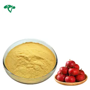 Most Popular Food Grade Natural Hawthorn Extract powder Anti-inflammatory And Antimicrobial Activity