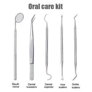 High Quality Custom Dental Hygiene Kit Dental Scraper Dental Tool Set For Teeth Cleaning