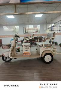 Tricycles électriques LTL 2026 à succès, 2 rangées, vente directe usine, batterie lithium 60V 600W/800W, vitesse max 38km/h, transport enfant - Product Image 2