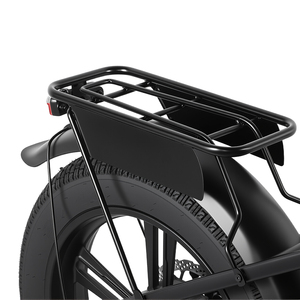 <span class=keywords><strong>Meilleur</strong></span> vélo électrique de livraison de nourriture, pneus anti-crevaison de 20 pouces, batterie double 50ah, autonomie de 150 km, 7 vitesses, vélo de livraison de nourriture urbain - Product Image 6
