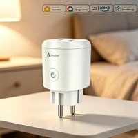 Enchufe Inteligente Europeo EU de 16A con WiFi, Compatible con Alexa, Google Assistant y Apple Home, Control por Voz, Hogar Inteligente