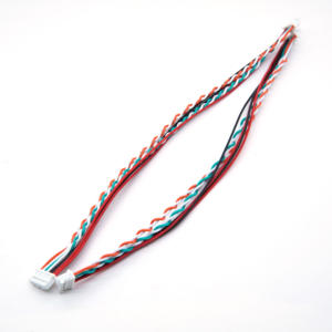 Su misura Molex Jst 538-200456-1213 3P connettore maschio femmina 2 Pin assemblaggi - Product Image 2