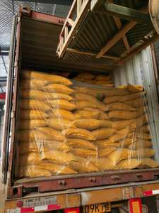 Poudre protéinée de maïs Guten Meal 60% <span class=keywords><strong>pour</strong></span> <span class=keywords><strong>poules</strong></span> <span class=keywords><strong>pondeuses</strong></span> - Product Image 4