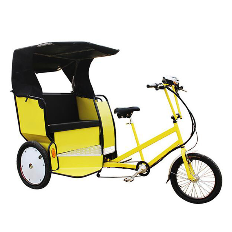 Werks-Dreirad Elektro fahrrad 2-Sitzer Elektro-Dreirad für Erwachsene Kunden spezifisches 3-Rad-Elektro-Dreirad-Motorrad