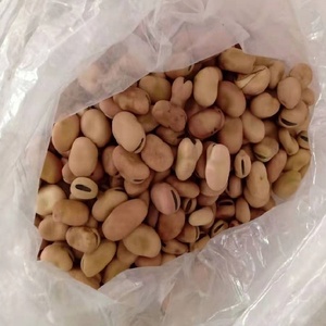 Đậu Rộng Khô Cấp Thức Ăn Đậu Rộng Nhỏ Cho Thức Ăn Chăn Nuôi/Bột Đậu Rộng - Product Image 2