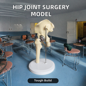Modèle anatomique en silicone de remplacement d'articulation de la hanche pour la formation pré-chirurgicale en sciences médicales - Product Image 2