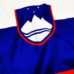 <b>Flag</b> Manufacturer Wholesale Custom 3x5 ft 90x150cm Polyester Banner Slovenia Country <b>Flags</b> Custom Logo Promotional Use - Product Image 4