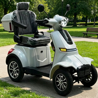 Scooter électrique à quatre roues EEC 1000W, entrepôt UE, batterie au lithium, suspension intégrale, écologique, pour personnes âgées, capacité de charge 200 kg