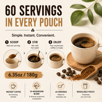 Café Instantáneo con Hongos 10 en 1, Mezcla de Melena de León, Reishi y Chaga, Arábica, Marca Privada OEM, Polvo Funcional de Hongos