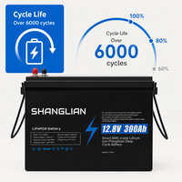 Batterie LiFePO4 12V 300Ah, pack de batteries 12.8V 3840Wh, 6000 cycles, batterie lithium à décharge profonde pour applications marines, camping-cars, moteurs de pêche à la traîne, et alimentation de secours solaire