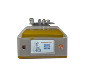 Le nouveau <span class=keywords><strong>laser</strong></span> vétérinaire numérique 980 nm est un appareil analgésique multi-mode de qualité clinique pour animaux à usage vétérinaire - Product Image 6