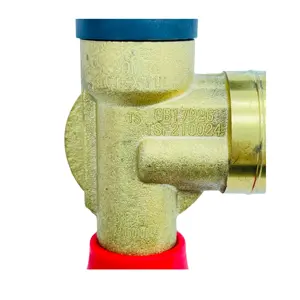 Brass CNG Natural Gas Cylinder 20MPa 12V Solenoid Valve