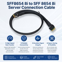 Câble SFF-8654 8i SAS4.0 24 Gbit/s pour serveur, 250 cycles de durabilité, blindage tressé, cuivre étamé, connexion de stockage interne