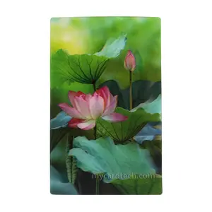 Customize Lenticular Plastic Gift Photo Name 3D Business Card