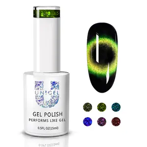 2019 nouveau 14 couleur 15ml 9D Chat EyeGel professionnel d'art de clou excellent galaxie effet uv gel vernis