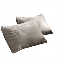 Taies d'oreiller 100% lin naturel, luxueuses, couleur unie, fraîches, respirantes, anti-humidité, durables, antistatiques, 2 taies d'oreiller pour la maison
