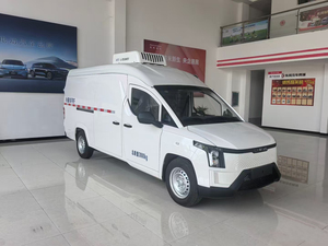 Wuling LINXYS Furgone Elettrico 2024 di Grande Capacità, 109 CV, Veicolo Commerciale Completamente Elettrico, Minivan per Trasporto Merci - Product Image 6