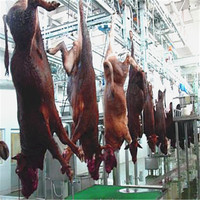 Machine industrielle d'abattage de bétail en acier inoxydable, équipement d'abattoir haute performance, outil d'abattage