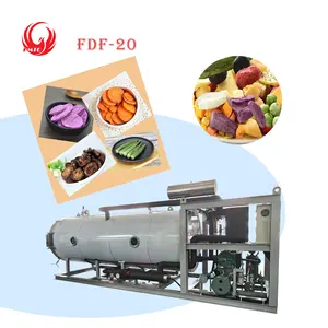 A multifunctional vacuum freeze-drying machine suitable for the food processing and production industry