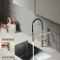 Robinet mélangeur d'eau chaude et froide de qualité supérieure, extractible, moderne, en acier inoxydable 304, à poignée unique, 1 trou, pour évier de cuisine