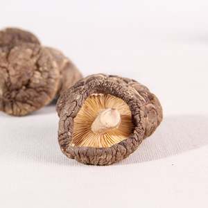 Xiang Gu Funghi <span class=keywords><strong>Shiitake</strong></span> Essiccati Freschi, Alimenti Erboristici Cinesi all'Ingrosso - Product Image 6