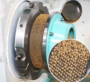 เครื่องผลิตเม็ดอาหารสัตว์55kW 1-18ตัน/ชม. โรงงานผลิตอาหารสัตว์ไก่วงแหวนตายสำหรับโรงงานผลิตอาหารสัตว์ปีก - Product Image 5