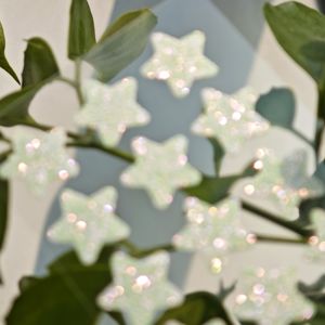 Parches <span class=keywords><strong>para</strong></span> espinillas en forma de estrella, hidrocoloides, brillantes, nuevos, veganos, libres de crueldad animal, sin parabenos, a base de plantas naturales. - Product Image 3