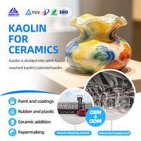 Poudre d'argile kaolin de qualité industrielle pour peintures, revêtements, céramiques, papier et caoutchouc